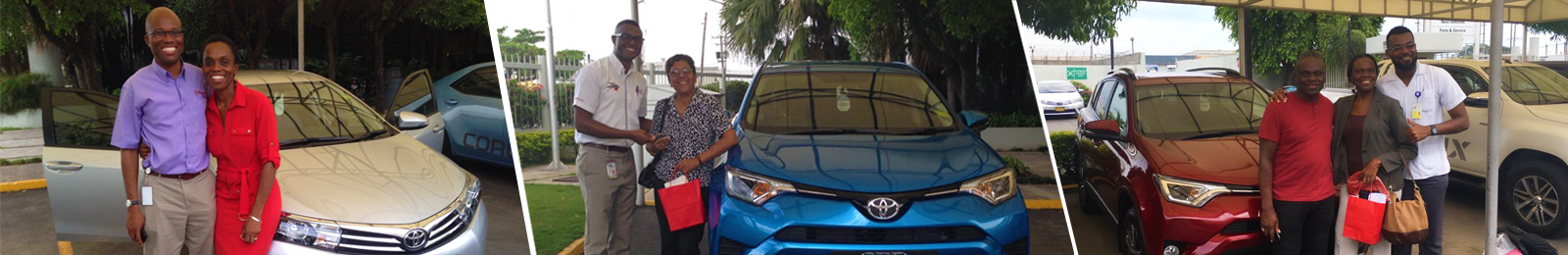 Vehicle Sales Team